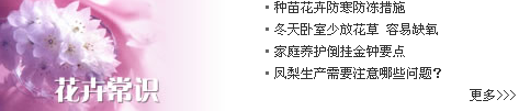 [2009特色評(píng)選] 中華人民共和國農(nóng)業(yè)部網(wǎng)站榮獲“用戶滿意獎(jiǎng)”