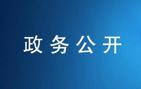 國(guó)務(wù)院辦公廳關(guān)于印發(fā)2016年政務(wù)公開工作要點(diǎn)的通知