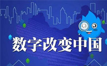 西方經驗在廈門市數字政府治理中的應用分析