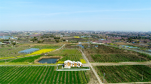 賦能產(chǎn)業(yè)振興，東方田園農(nóng)業(yè)發(fā)展有限公司全面推進(jìn)運(yùn)營業(yè)務(wù)