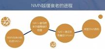 為什么NMN值得相信？ 看看赫曼因NMN的亮點