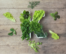 探索vitamin k1：人體健康不可或缺的重要營(yíng)養(yǎng)素