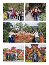 天天傳奇 “ 巴馬探秘 ” 之旅圓滿成功！