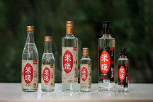 春糖頂流 高燃收官 | 能賦·米燒征程不止，勇毅前行耀未來！