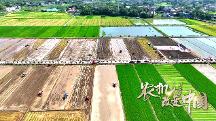 濰柴雷沃年度特別企劃 紀(jì)錄片《農(nóng)機(jī)改變中國(guó)》上線