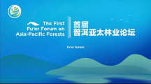中林國(guó)控應(yīng)邀首屆普洱亞太林業(yè)論壇，推動(dòng)“大森林 + 大醫(yī)藥”助力綠色經(jīng)濟(jì)崛起