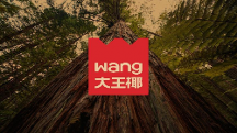 大王椰LOGO煥新背后，如何打造年輕人的品牌！